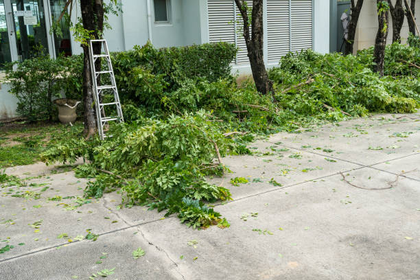 Reliable Garden City, KS Tree Services Solutions